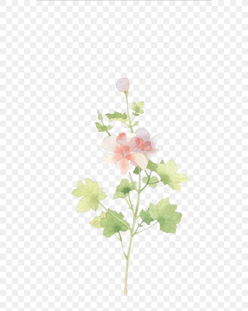 IPhone 6 IPhone 5s Wallpaper, PNG, 580x1030px, Iphone 6, Blossom, Branch, Cartoon, Cut Flowers Download Free