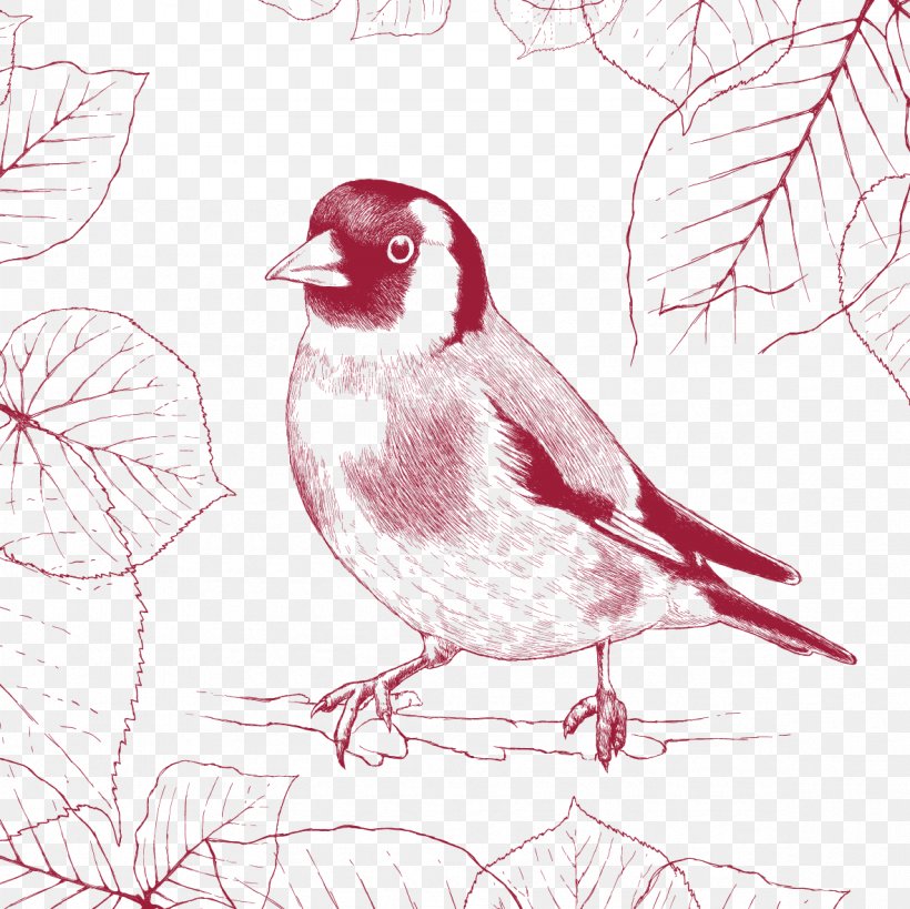Bird, PNG, 1181x1181px, Bird, Art, Beak, Branch, Drawing Download Free