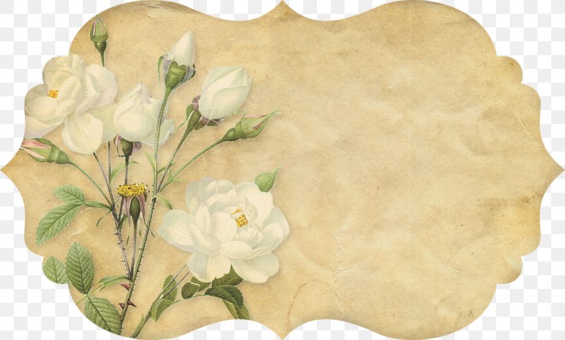 Paper Flower Botany Botanical Illustration Painting, PNG, 1600x964px, Paper, Art, Botanical Illustration, Botany, Cut Flowers Download Free