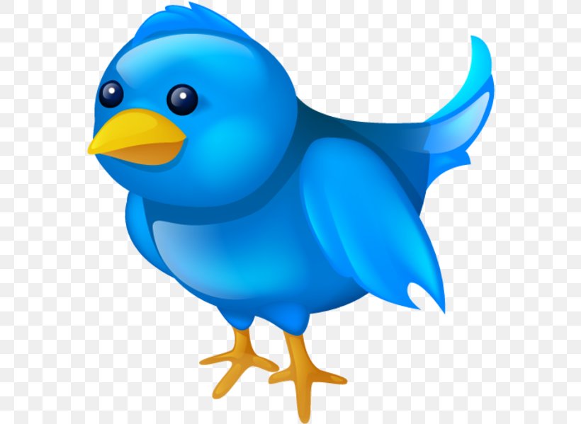 Social Media Icons Background, PNG, 578x599px, Icon Design, Animal Figure, Bath Toy, Beak, Bird Download Free