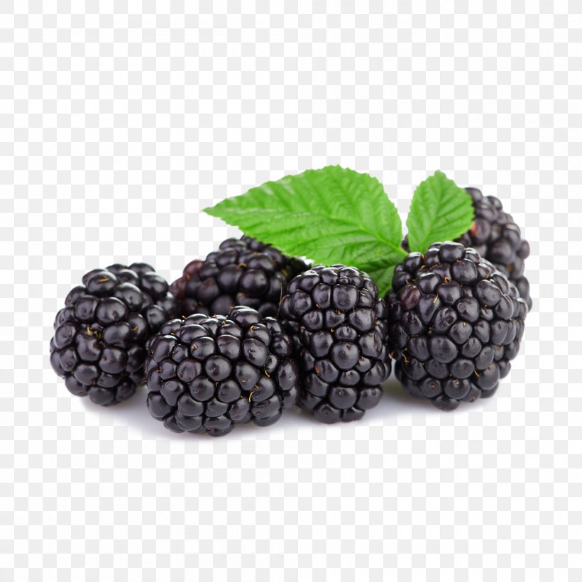 Tayberry Boysenberry Raspberry Blackberry, PNG, 1000x1000px, Tayberry, Berry, Bilberry, Biscuits, Blackberry Download Free