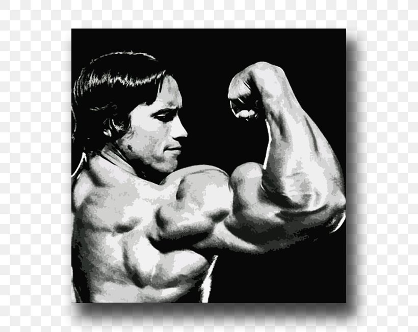 Arnold Schwarzenegger Arm Bodybuilding Biceps Muscle, PNG, 652x652px, Watercolor, Cartoon, Flower, Frame, Heart Download Free