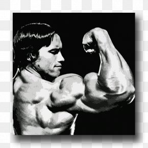 Arnold Schwarzenegger - Arnold Schwarzenegger Arm Bodybuilding Biceps Muscle PNG