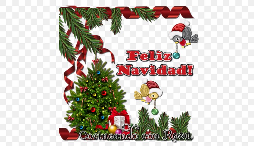 Family Tree Design, PNG, 562x472px, 2018, Christmas, Blog, Christmas Decoration, Christmas Eve Download Free
