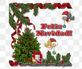 Interior Design Spruce - Family Tree Design PNG