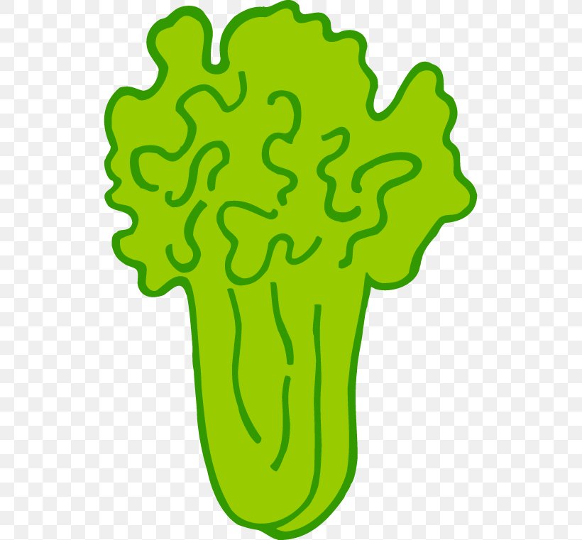 Vegetable Napa Cabbage Chinese Cabbage, PNG, 527x761px, Vegetable, Area, Bok Choy, Cabbage, Cartoon Download Free