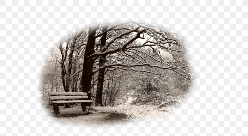 Desktop Wallpaper Landscape Winter Nature Drawing, PNG, 600x450px, Landscape, Black And White, Branch, Display Resolution, Drawing Download Free