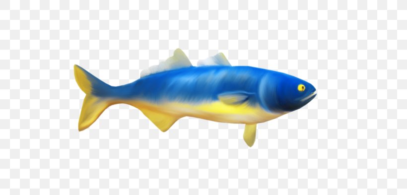 Download Clip Art, PNG, 699x393px, Dots Per Inch, Bony Fish, Digital Image, Display Resolution, Electric Blue Download Free