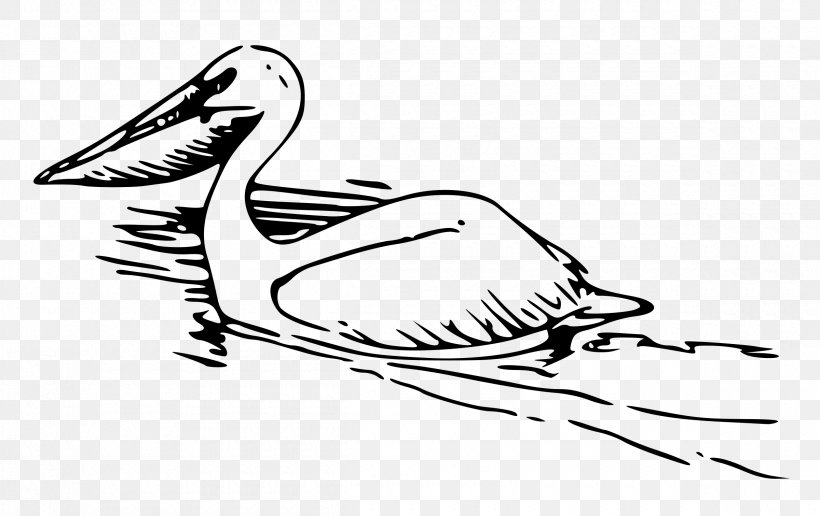 Pelican Black And White Clip Art, PNG, 2400x1512px, Pelican, Arm, Art, Artwork, Beak Download Free