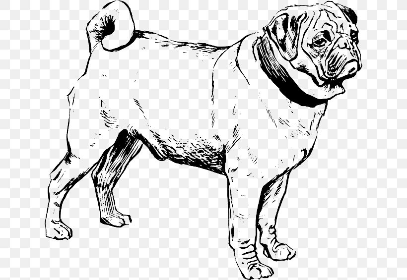Puggle French Bulldog Chow Chow, PNG, 640x565px, Pug, Artwork, Black And White, Bulldog, Carnivoran Download Free