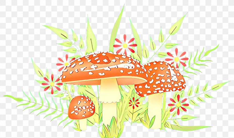 Clip Art Illustration Floral Design Flowering Plant, PNG, 3000x1766px, Floral Design, Flower, Flowering Plant, Mushroom, Orange Sa Download Free