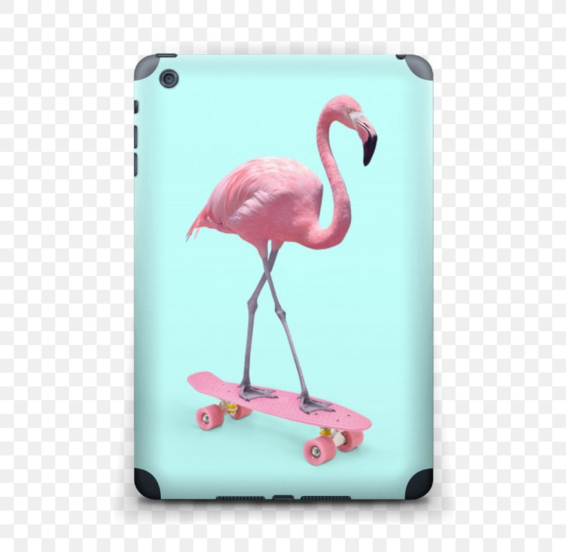 Flamingos Kollwitz Internet Graphic Designer, PNG, 548x800px, Flamingos, Art, Beak, Bird, Canvas Download Free