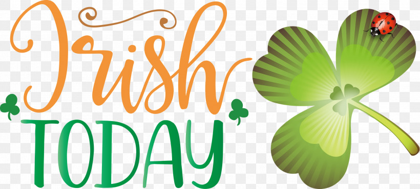 Irish Today St Patricks Day Saint Patrick, PNG, 3000x1356px, St Patricks Day, Flower, Green, Insect, Leaf Download Free