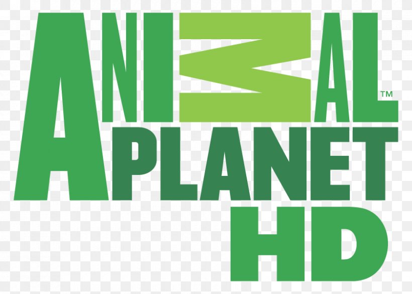 Logo Animal Planet Television Channel Boomerang, PNG, 840x600px, Logo, Animal Planet, Animal Planet Hd, Area, Boomerang Download Free