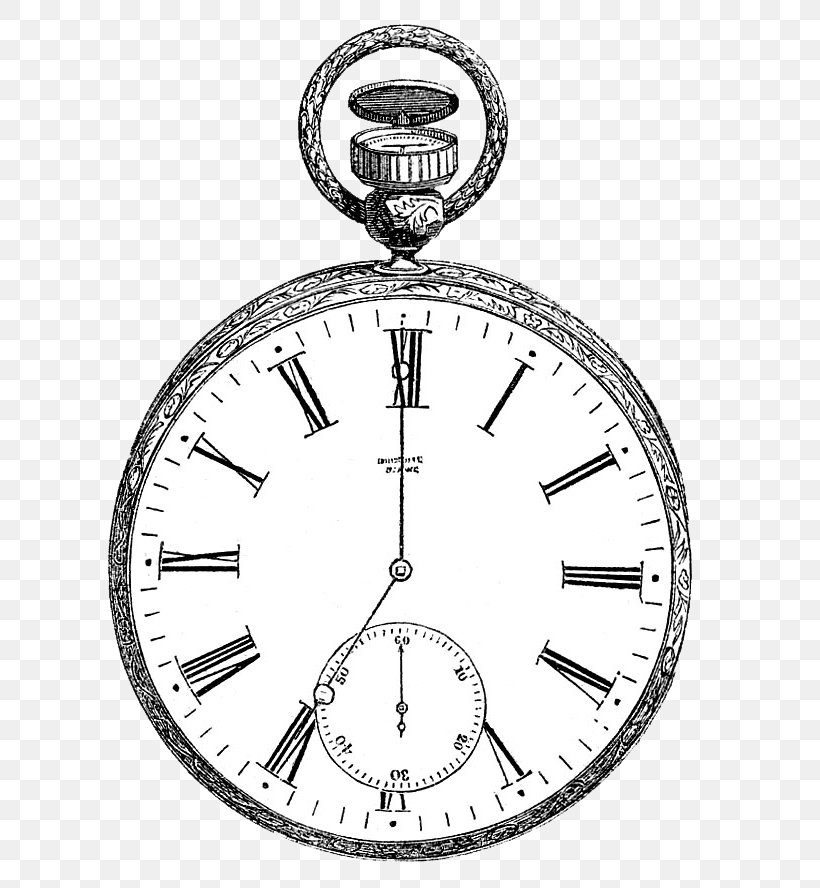 Stopwatch Royalty-free Drawing Clip Art, PNG, 669x888px, Stopwatch, Antique, Area, Art, Black And White Download Free