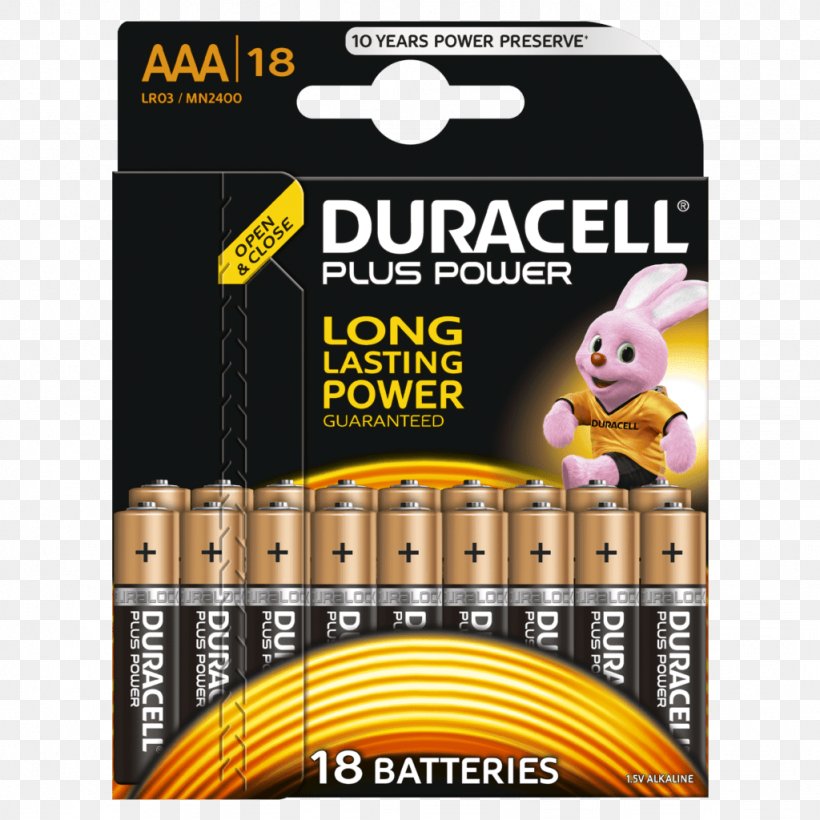 AC Adapter Duracell AAA Battery Alkaline Battery Electric Battery, PNG, 1024x1024px, Ac Adapter, Aa Battery, Aaa Battery, Alkaline Battery, Battery Download Free