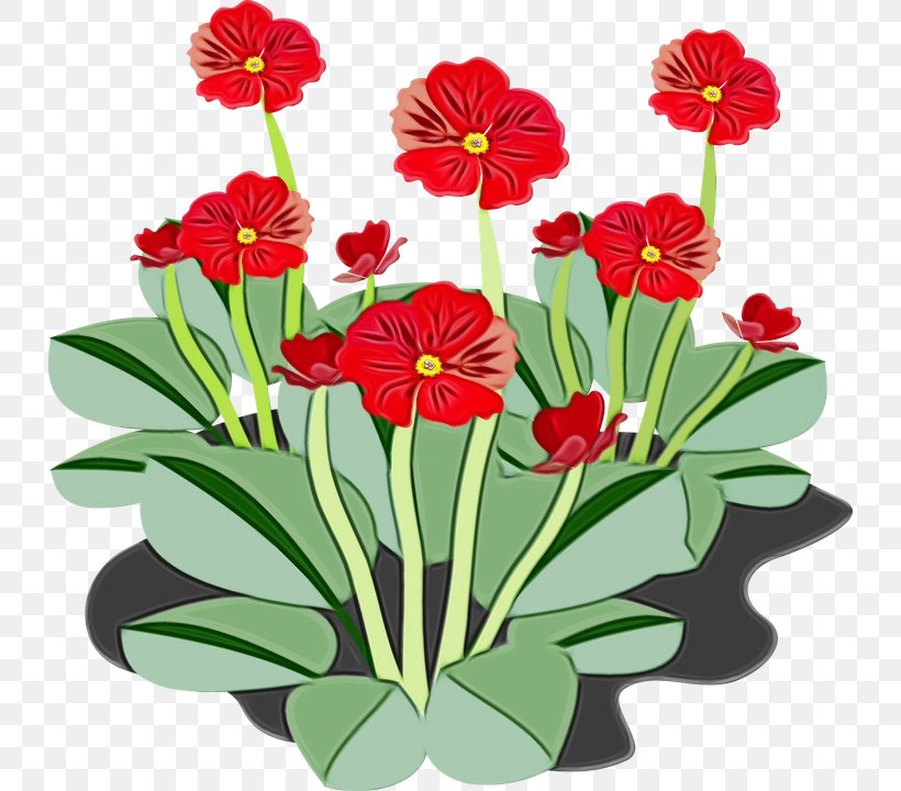 Clip Art: Transportation Vector Graphics Image, PNG, 732x720px, Clip Art Transportation, Barberton Daisy, Botany, Daisy Family, Drawing Download Free