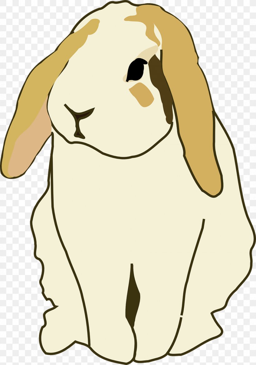 Holland Lop Easter Bunny Mini Lop Thu1ecf Tai Cu1ee5p Hare, PNG, 898x1280px, Holland Lop, Blog, Carnivoran, Cartoon, Dog Download Free