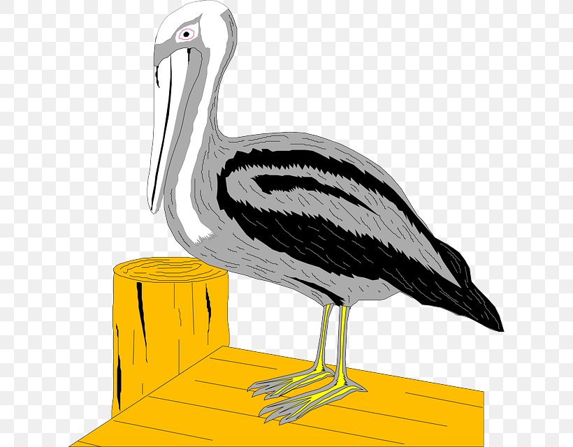 Pelican Stork Bird Clip Art, PNG, 624x640px, Pelican, Beak, Bird, Ciconiiformes, Crane Like Bird Download Free