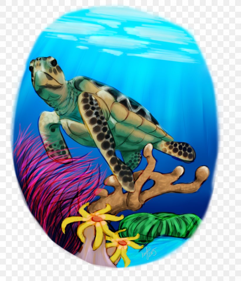 Sea Turtle Tortoise Marine Biology, PNG, 828x966px, Sea Turtle, Biology, Marine Biology, Organism, Reptile Download Free