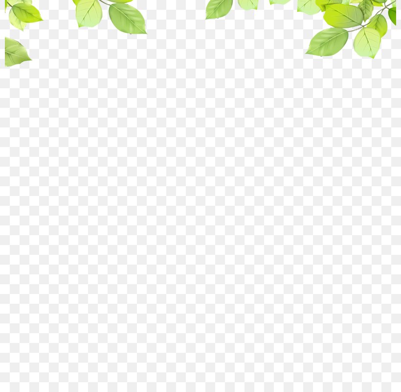 Area Leaf Pattern, PNG, 800x800px, Area, Grass, Green, Leaf, Point Download Free