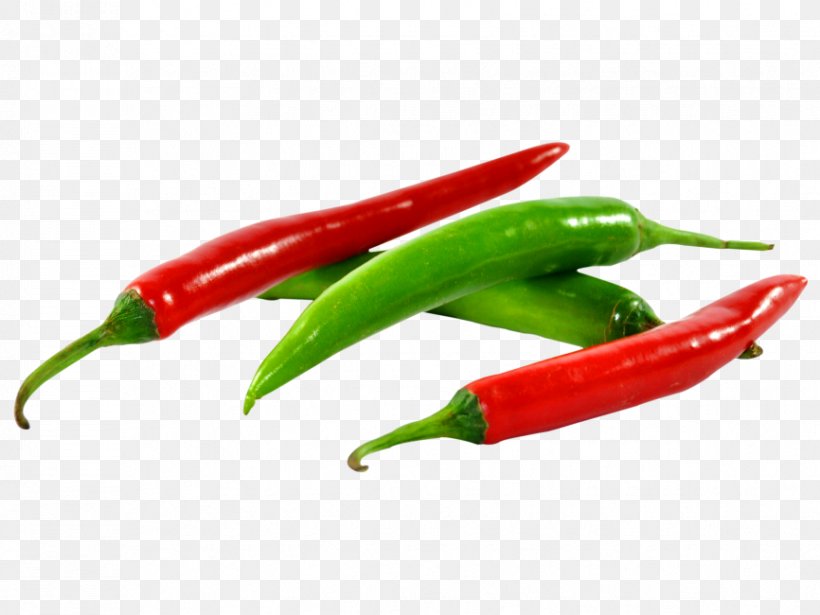Chili Pepper Indian Cuisine Taco Bell Pepper Vegetable, PNG, 866x650px, Chili Pepper, Bell Pepper, Bell Peppers And Chili Peppers, Birds Eye Chili, Black Pepper Download Free