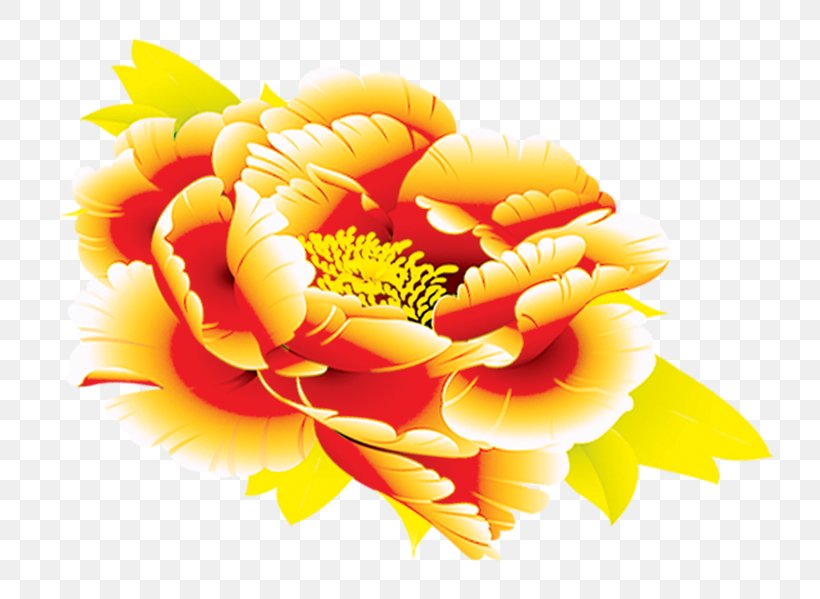 Floral Design Clip Art, PNG, 781x599px, Floral Design, Cut Flowers, Floristry, Flower, Flower Arranging Download Free