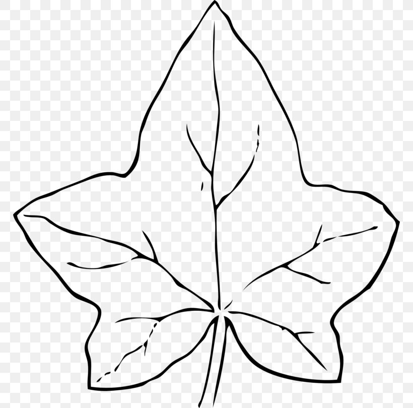 Leaf Clip Art, PNG, 768x810px, Leaf, Area, Artwork, Autumn Leaf Color, Black And White Download Free