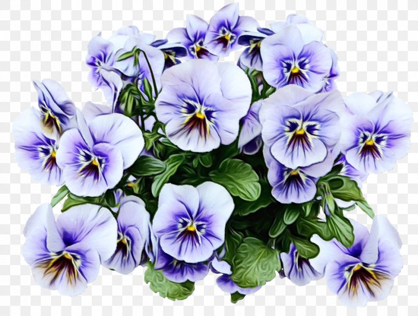 Pansy Flower Plants Clip Art, PNG, 952x720px, Pansy, Flower, Flowering Plant, Garden, Morning Glory Download Free