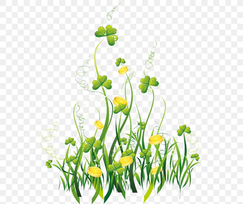Saint Patrick's Day Floral Design Ireland Shamrock Clip Art For Scrapbooks, PNG, 553x687px, Floral Design, Art, Branch, Clover, Coin Download Free