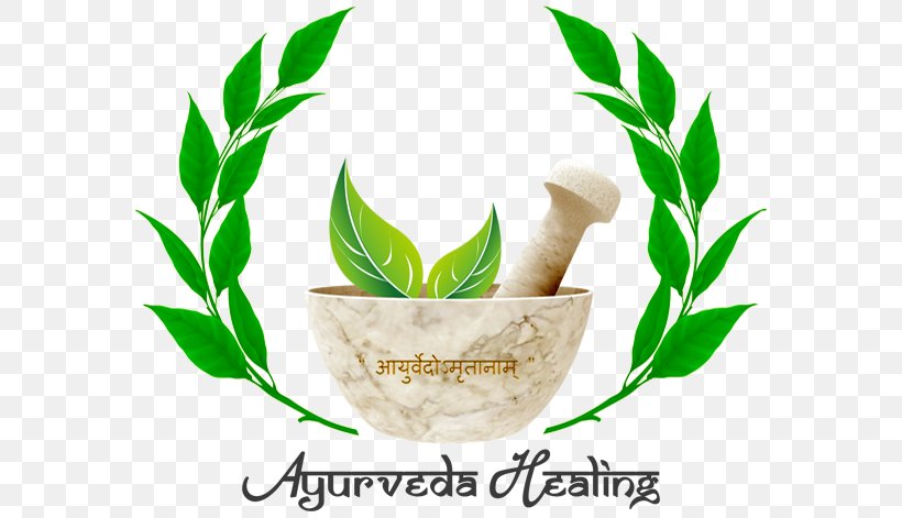 All India Institute Of Ayurveda, Delhi Ayurvedic Home Remedies National Institute Of Ayurveda Medicine, PNG, 581x471px, Ayurvedic Home Remedies, Alternative Health Services, Ayurveda, Flower, Health Download Free