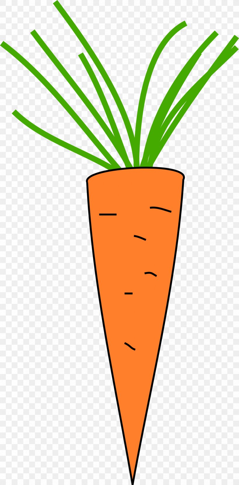 Carrot Clip Art, PNG, 1185x2400px, Carrot, Area, Food, Fruit, Leaf Download Free
