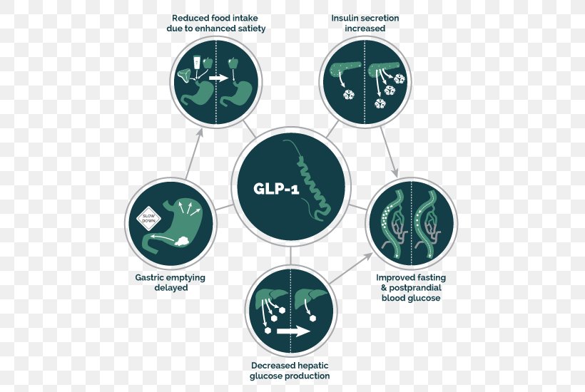 Glucagon-like Peptide-1 Receptor Agonist Diabetes Mellitus Type 2, PNG, 550x550px, Glucagonlike Peptide1, Agonist, Brand, Carbohydrate, Diabetes Mellitus Download Free