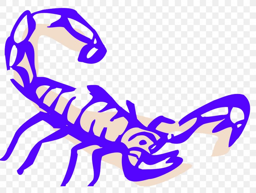 Scorpion Drawing Clip Art, PNG, 1024x772px, Scorpion, Animation, Artwork, Designer, Drawing Download Free