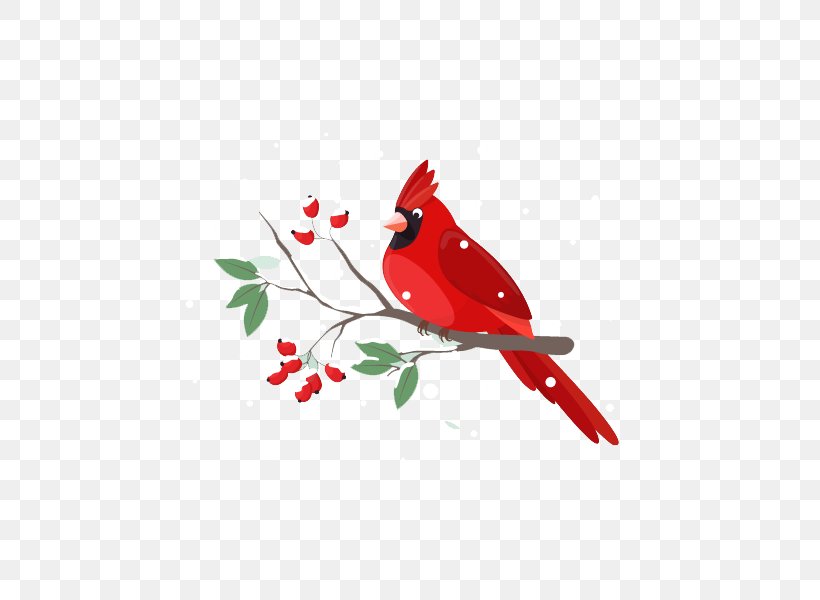 Bird Illustrator Illustration, PNG, 800x600px, Bird, Beak, Branch, Cardinal, Digital Agency Download Free