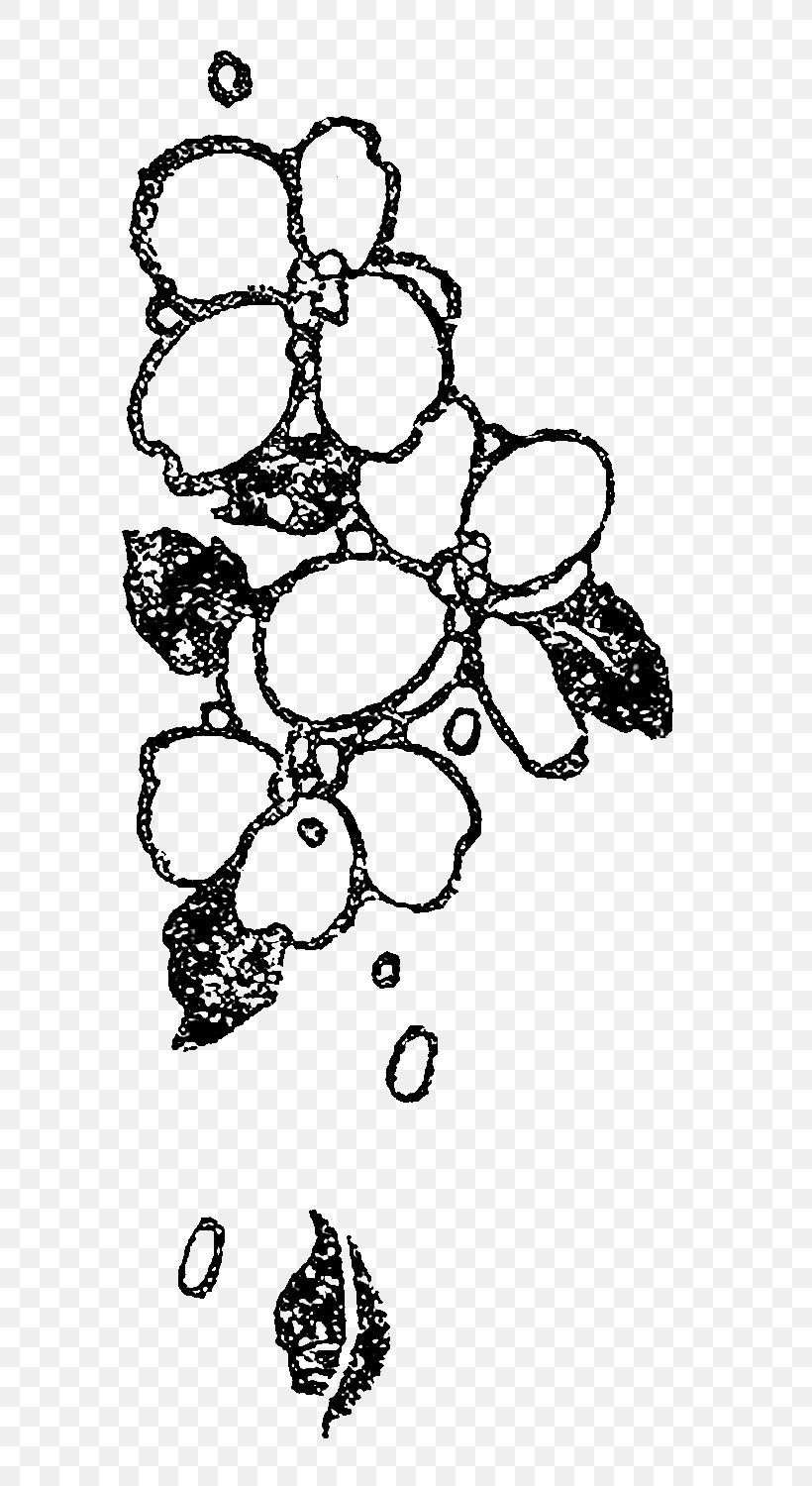 Visual Arts Drawing, PNG, 708x1500px, Art, Area, Black And White, Body Jewelry, Branch Download Free