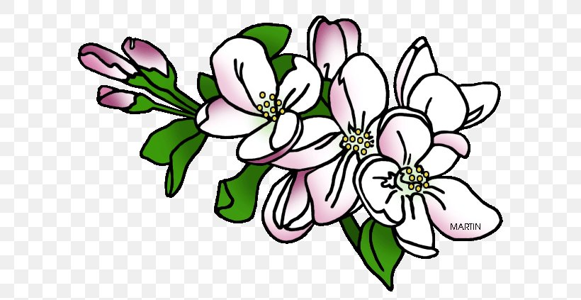 Arkansas Floral Design U.S. State Flower Clip Art, PNG, 648x423px, Arkansas, Americas, Art, Branch, Cut Flowers Download Free