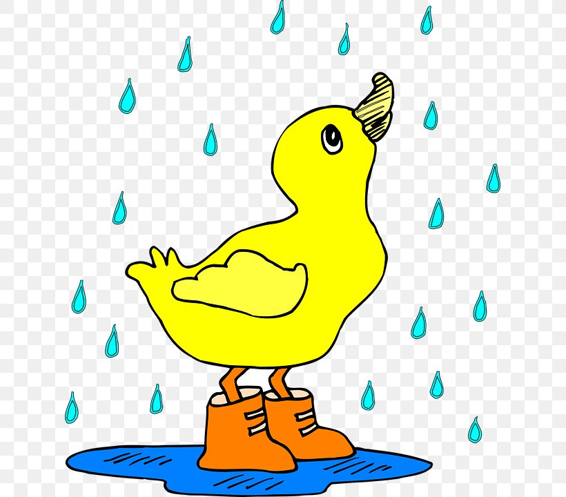 Baby Ducks Rain Clip Art, PNG, 631x720px, Duck, Area, Art, Artwork, Baby Ducks Download Free