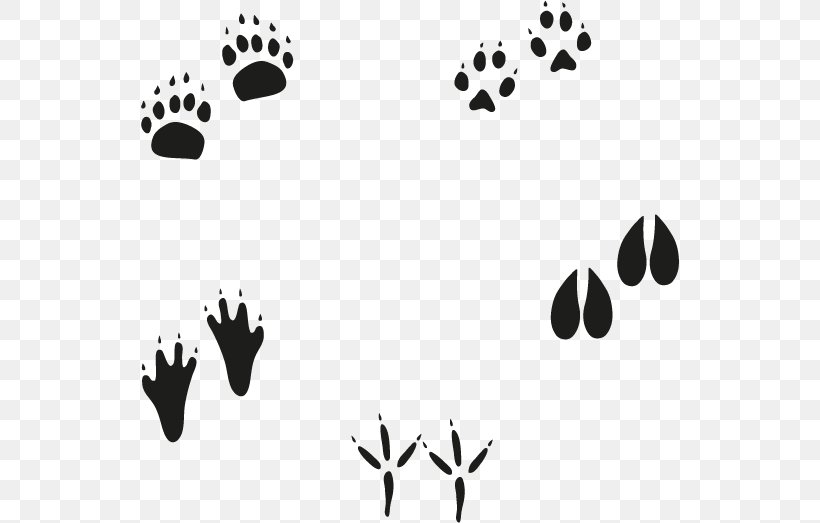 Euclidean Vector Animal Footprint, PNG, 538x523px, Animal, Black, Black And White, Element, Fingerprint Download Free
