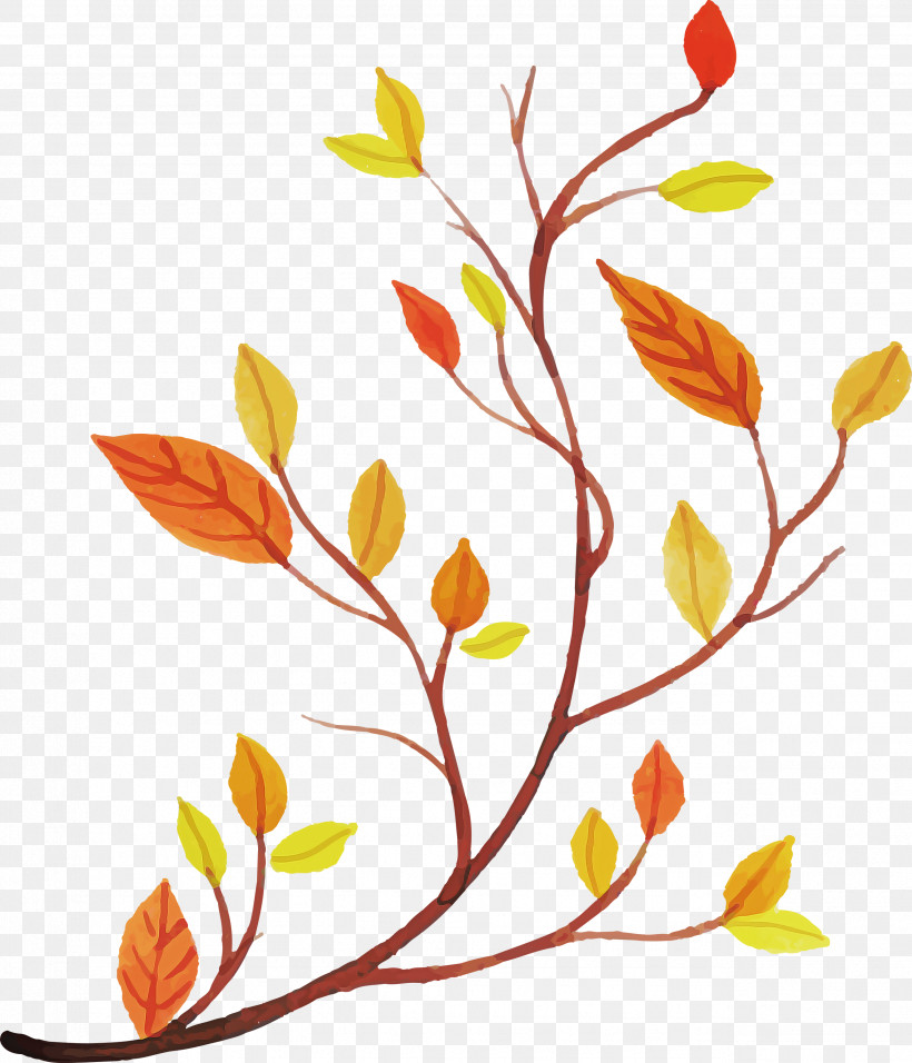 Floral Design, PNG, 2573x3000px, Watercolor Autumn, Clover, Colorful Leaf, Cut Flowers, Daikon Download Free