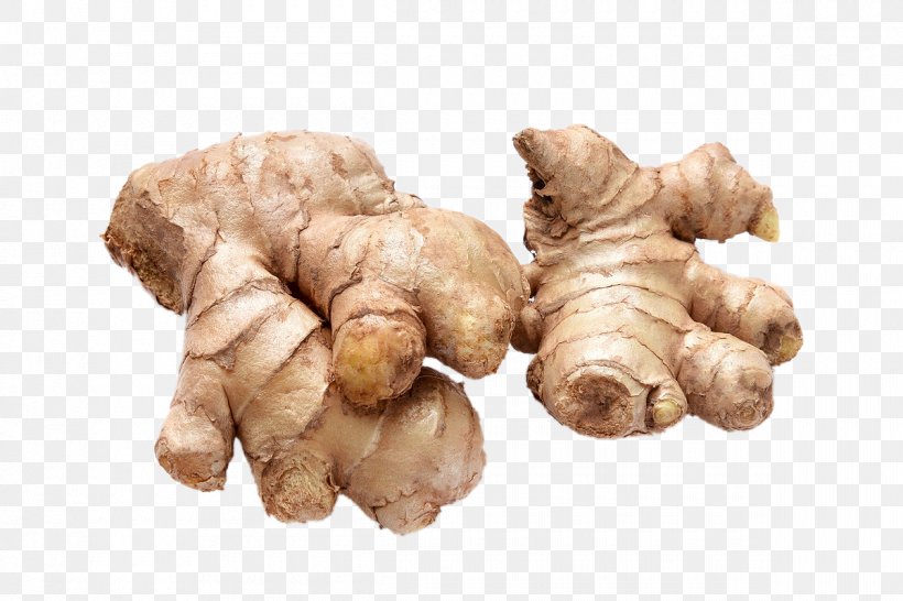Ginger Galangal Condiment Ingredient Vegetable, PNG, 1200x800px, Ginger, Allium Fistulosum, Condiment, Food, Galangal Download Free