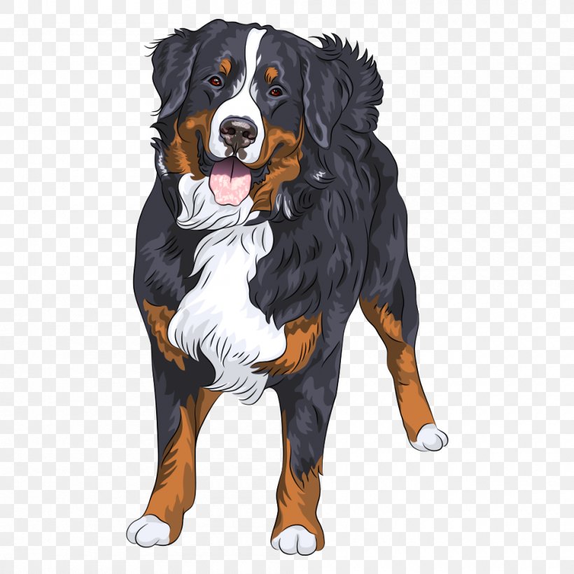 The Bernese Mountain Dog Puppy Dog Breed, PNG, 1000x1000px, Bernese Mountain Dog, Breed, Carnivoran, Clothing, Companion Dog Download Free