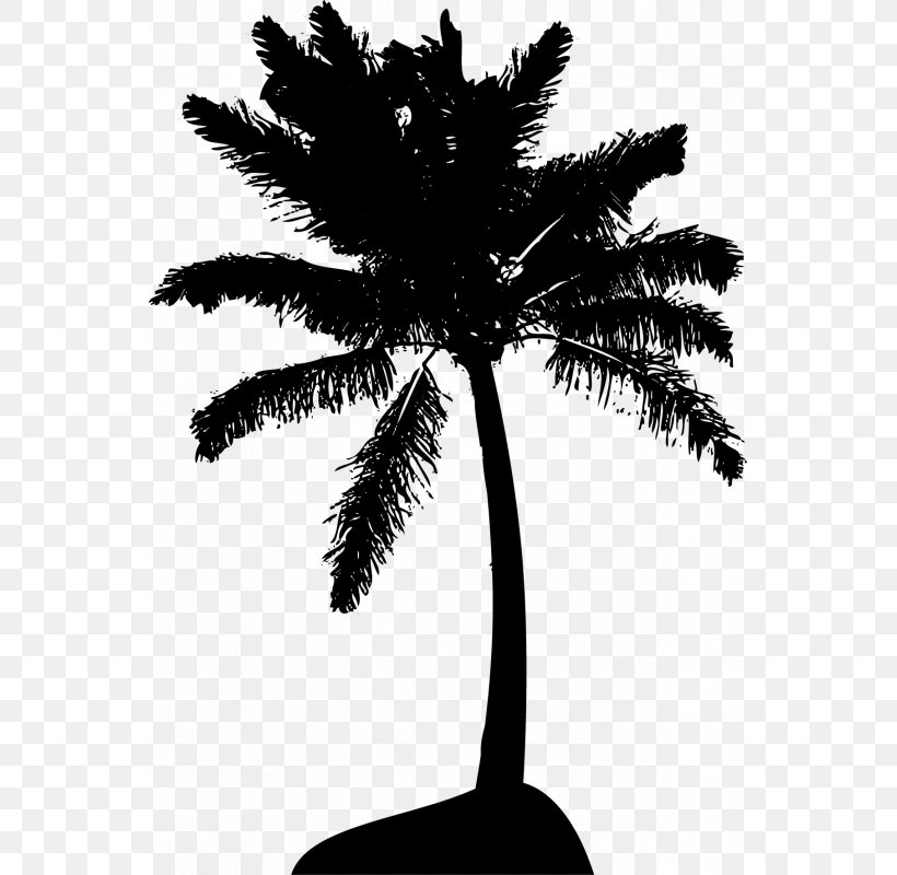 Arecaceae Tree Royalty-free Clip Art, PNG, 800x800px, Arecaceae, Areca Palm, Arecales, Black And White, Borassus Flabellifer Download Free