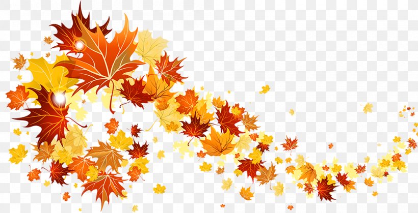 Autumn Leaf Color Desktop Wallpaper Clip Art, PNG, 1000x512px, Autumn Leaf Color, Autumn, Branch, Display Resolution, Floral Design Download Free