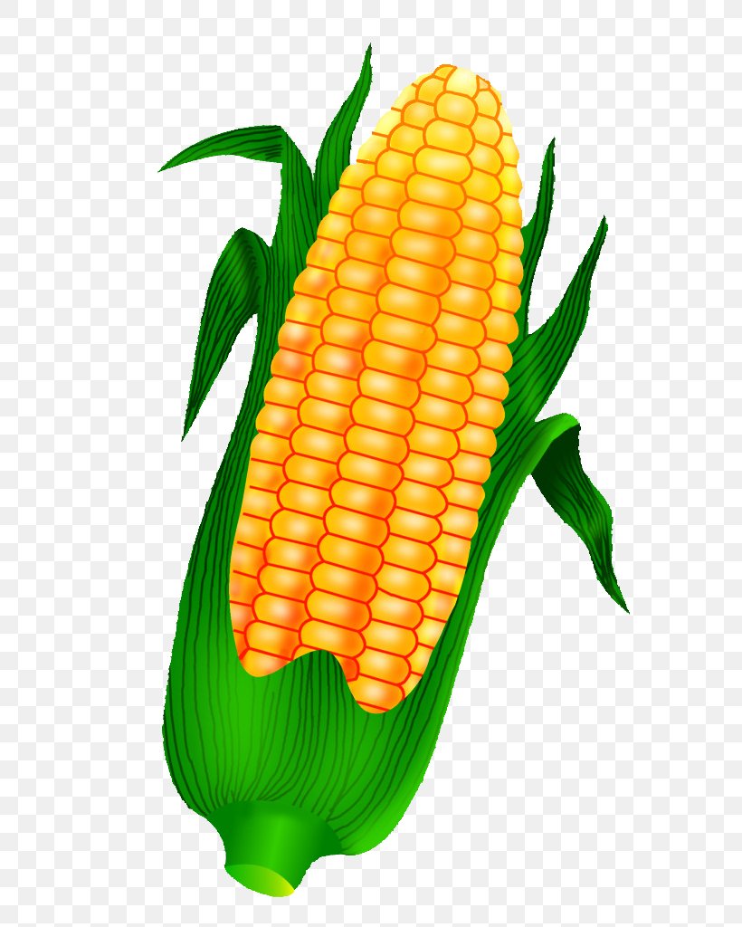 Corn On The Cob Maize Crop, PNG, 652x1024px, Corn On The Cob, Cartoon, Caryopsis, Cereal, Commodity Download Free