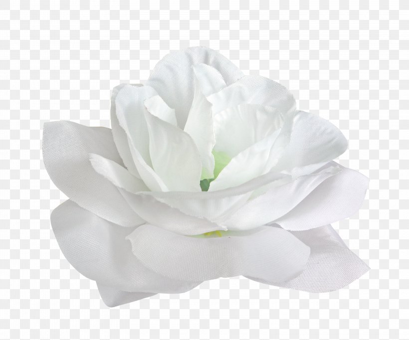 Flower White Petal, PNG, 3200x2662px, Flower, Color, Floristry, Flowering Plant, Gardenia Download Free