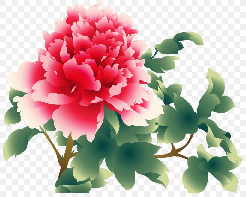 Moutan Peony Download Clip Art, PNG, 800x659px, Moutan Peony, Annual Plant, Art, Carnation, Chinese Painting Download Free