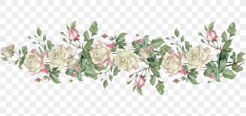 Paper Rose Flower Pink, PNG, 911x433px, Paper, Antique, Blume, Branch, Christie Repasy Download Free