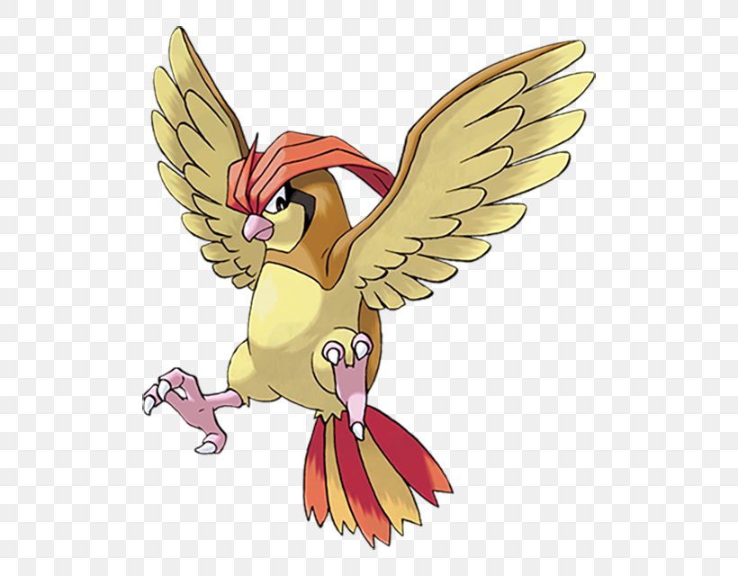 Pokémon X And Y Ash Ketchum Pidgeotto, PNG, 640x640px, Ash Ketchum, Art, Beak, Bird, Cartoon Download Free