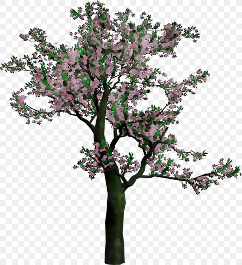 Cherry Blossom Clip Art Image, PNG, 1107x1216px, Cherry Blossom, Blossom, Branch, Cut Flowers, Dogwood Download Free